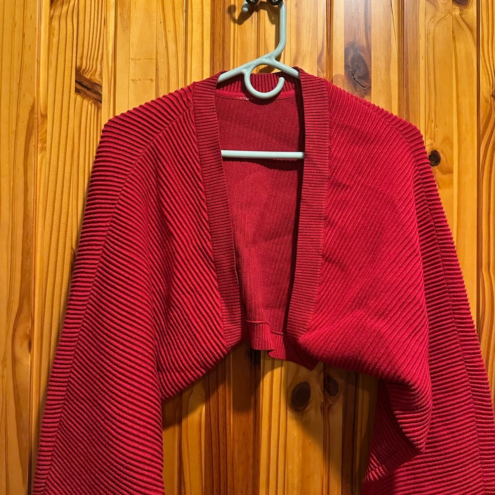 Elegant Red Ribbed Dress - Picture 3 of 5